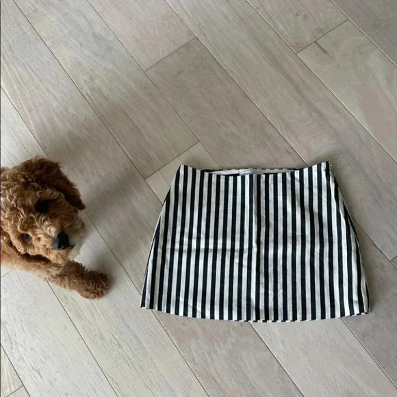 Corey Lynn Calter Mini Striped Skirt - Picture 8 of 8